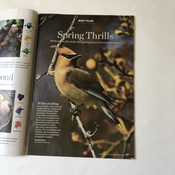 Birds and Blooms Mag March Extra 2023-Finches-Herbs-feeding hacks-ground cover - Picture 6 of 9